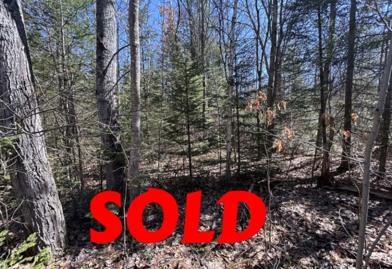 2.5 ACRES CLOSE TO MIO POND