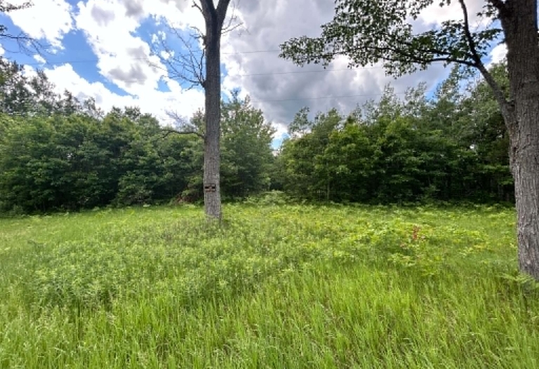 PARCEL 1 -10 WOODED ACRES