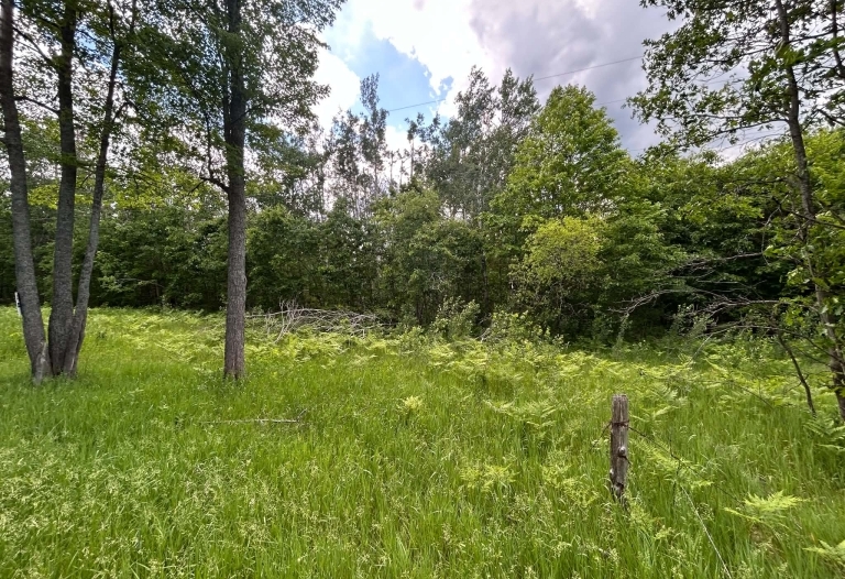 PARCEL 2- 10 WOODED ACRES WITH POND